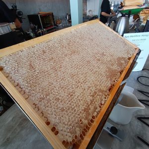 Malaysia Premium Honeycomb for hotels and cafes